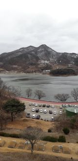 팜모닝 자유주제·자유게시판 게시글 이미지