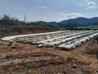 솜리아재님의 3월 농사 계획 공유해요 · 참여글 작성글 사진