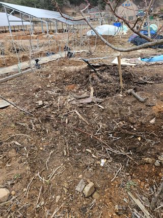 왜목 김진규님의 3월 농사 계획 공유해요 · 참여글 작성글 사진