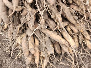 이창신님의 자유주제 · 자유게시판 작성글 사진