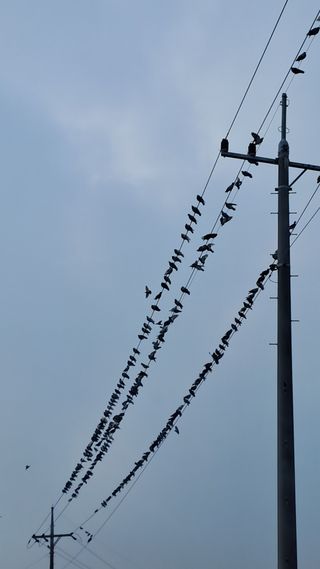 오호Ohoo님의 작성글 사진