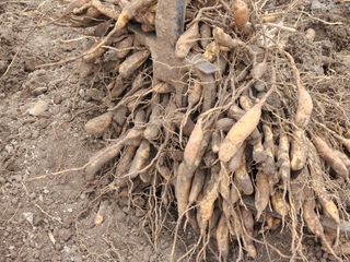 이창신님의 자유주제 · 자유게시판 작성글 사진