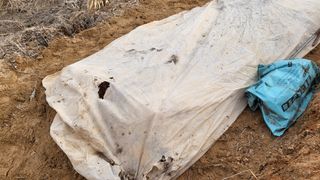 조미숙님의 3월 농사 계획 공유해요 · 참여글 작성글 사진