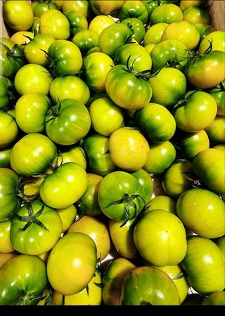 김지연님의 작성글 사진