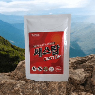 오호Ohoo님의 작성글 사진