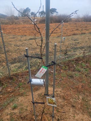 자연인님의 자유주제 · 자유게시판 작성글 사진