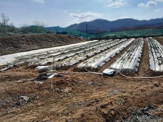 솜리아재님의 3월 농사 계획 공유해요 · 참여글 작성글 사진