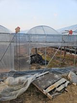 팜모닝 3월 농사 계획 공유해요·참여글 게시글 이미지