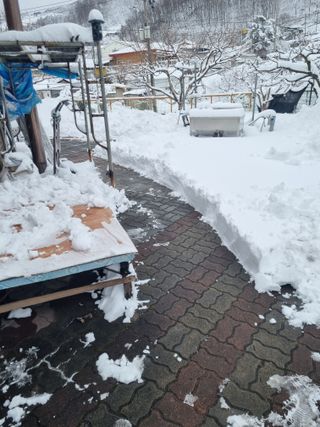 김용대님의 자유주제 · 자유게시판 작성글 사진