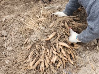 이창신님의 자유주제 · 자유게시판 작성글 사진