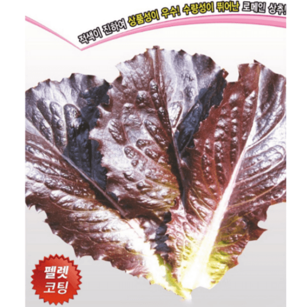 장터 상품 [아시아종묘 상추 슈퍼시저스레드(펠렛) 300립 씨앗 종자 종묘 펠렛형태 로메인상추] 썸네일