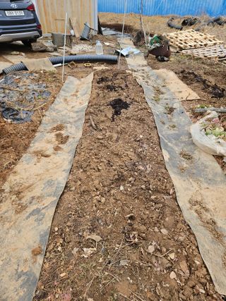 왜목 김진규님의 3월 농사 계획 공유해요 · 참여글 작성글 사진