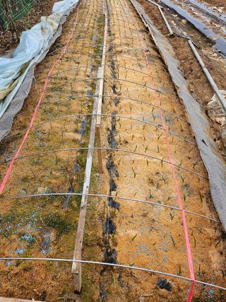 농업인님의 자유주제 · 자유게시판 작성글 사진