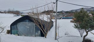 낙엽교목류15665님의 자유주제 · 자유게시판 작성글 사진