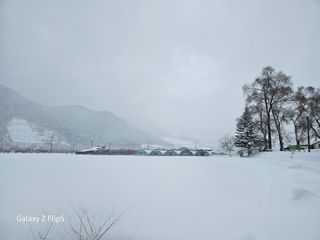 정선 숲속의농부님의 자유주제 · 자유게시판 작성글 사진