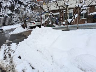 김용대님의 자유주제 · 자유게시판 작성글 사진