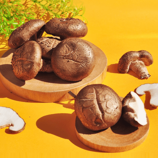 장터 상품 [장흥 생표고버섯] 썸네일