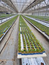 팜모닝 3월 농사 계획 공유해요·참여글 게시글 이미지