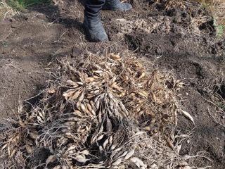 이창신님의 3월 농사 계획 공유해요 · 참여글 작성글 사진