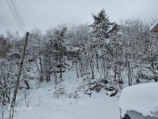 정선 숲속의농부님의 자유주제 · 자유게시판 작성글 사진