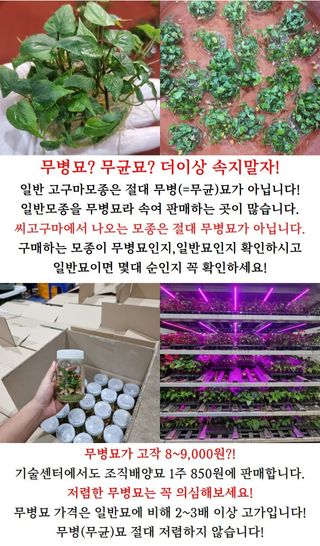 김동수님의 자유주제 · 자유게시판 작성글 사진
