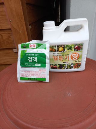 심무재 님의 자유주제 · 자유게시판 작성글 사진