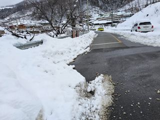 김용대님의 자유주제 · 자유게시판 작성글 사진