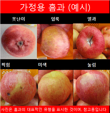 숲등농장 달밭사과님의 장터 판매 상품 [숲등농장부사 [안동산지직송]] 첨부 사진