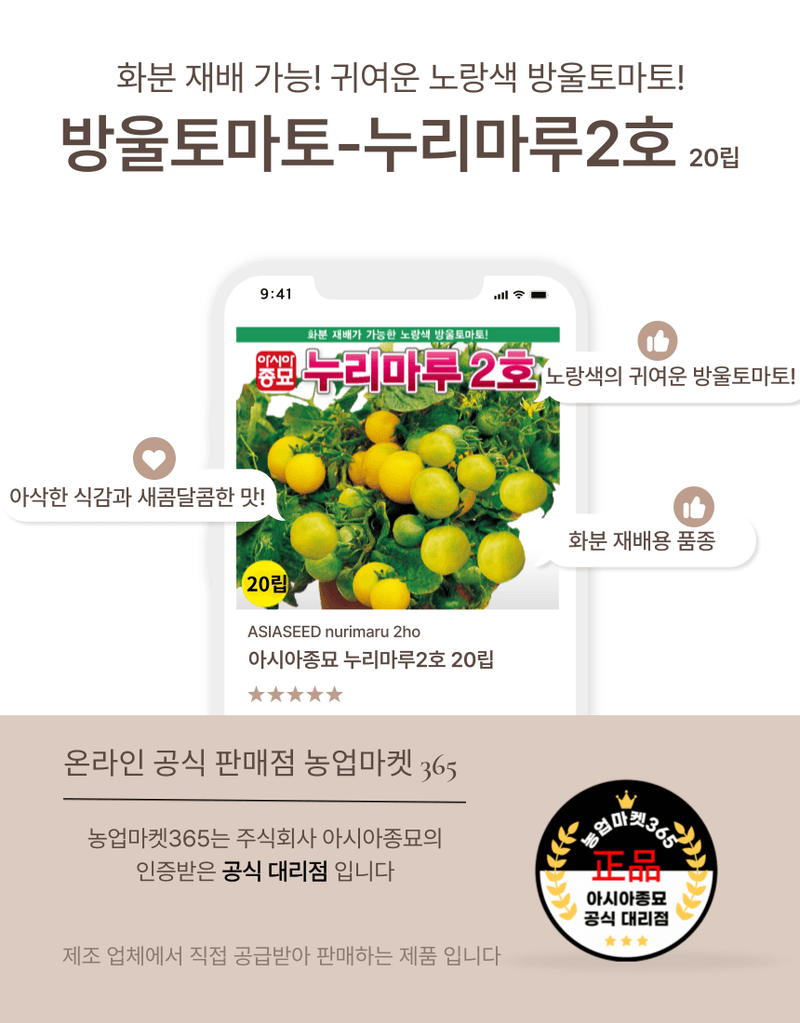 농업마켓365님의 장터 판매 상품 [농업마켓365 아시아종묘 화분재배용 방울토마토 누리마루2호 20립 노랑방울토마토] 첨부 사진