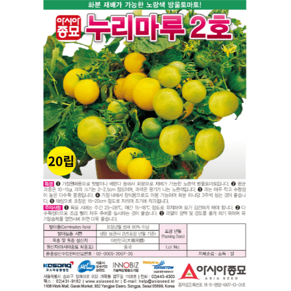 장터 상품 [농업마켓365 아시아종묘 화분재배용 방울토마토 누리마루2호 20립 노랑방울토마토] 썸네일
