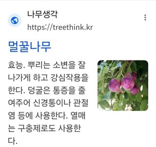 산양삼님의 자유주제 · 자유게시판 작성글 사진