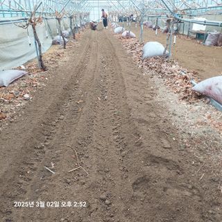 샤인머스켓님의 3월 농사 계획 공유해요 · 참여글 작성글 사진