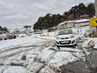 전홍열님의 작성글 사진