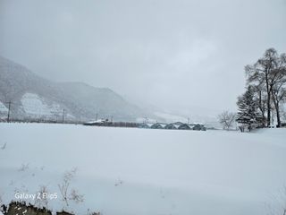 정선 숲속의농부님의 자유주제 · 자유게시판 작성글 사진