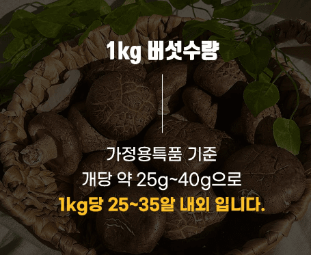 스피드번님의 장터 판매 상품 [장흥 생표고버섯] 첨부 사진