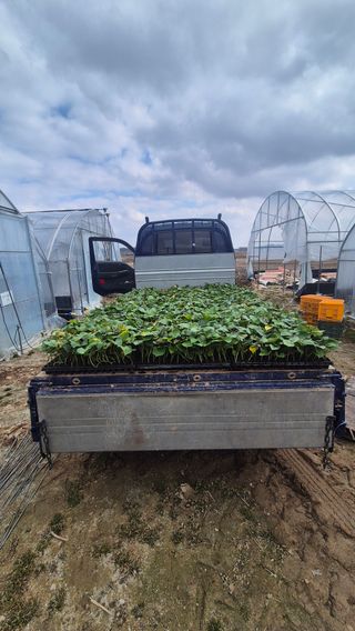 김동수님의 자유주제 · 자유게시판 작성글 사진