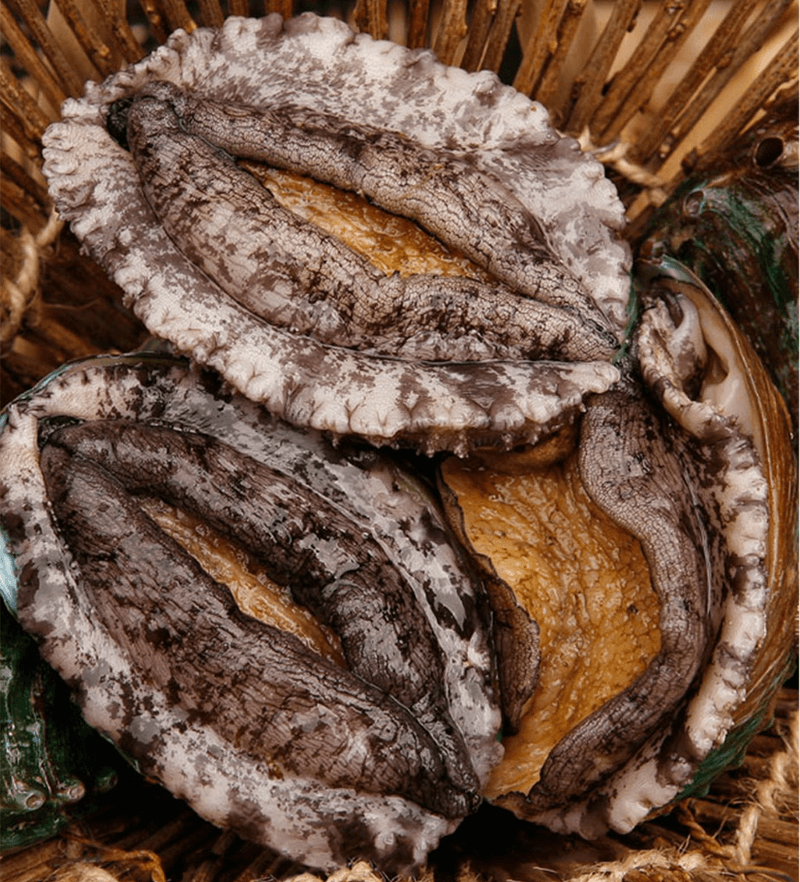 스피드번님의 장터 판매 상품 [전복] 첨부 사진