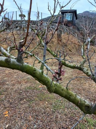 심무재 님의 자유주제 · 자유게시판 작성글 사진