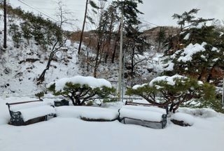 관음손가네님의 자유주제 · 자유게시판 작성글 사진