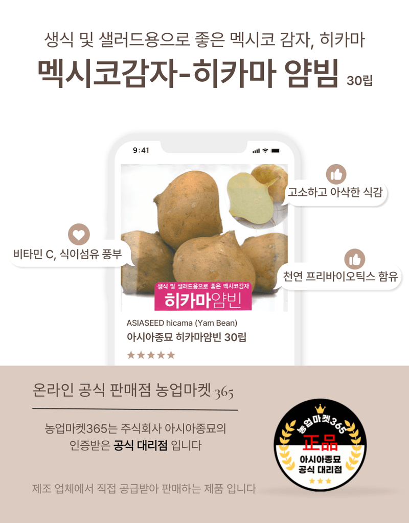 농업마켓365님의 장터 판매 상품 [농업마켓365 아시아종묘 멕시코감자 히카마 30립 종자 씨앗 감자 히카마얌빈] 첨부 사진