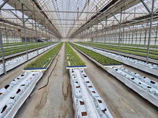 김형남님의 3월 농사 계획 공유해요 · 참여글 작성글 사진