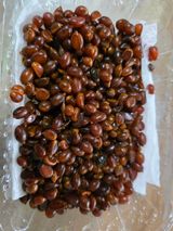 팜모닝 자유주제·자유게시판 게시글 이미지