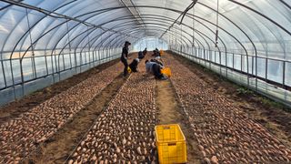 김동수님의 자유주제 · 자유게시판 작성글 사진