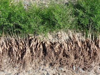 이창신님의 3월 농사 계획 공유해요 · 참여글 작성글 사진