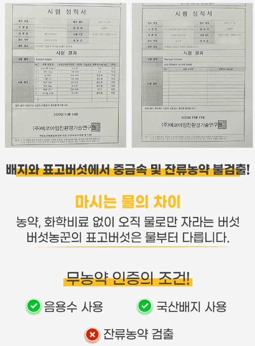 스피드번님의 장터 판매 상품 [장흥 생표고버섯] 첨부 사진