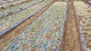 김지철님의 자유주제 · 자유게시판 작성글 사진