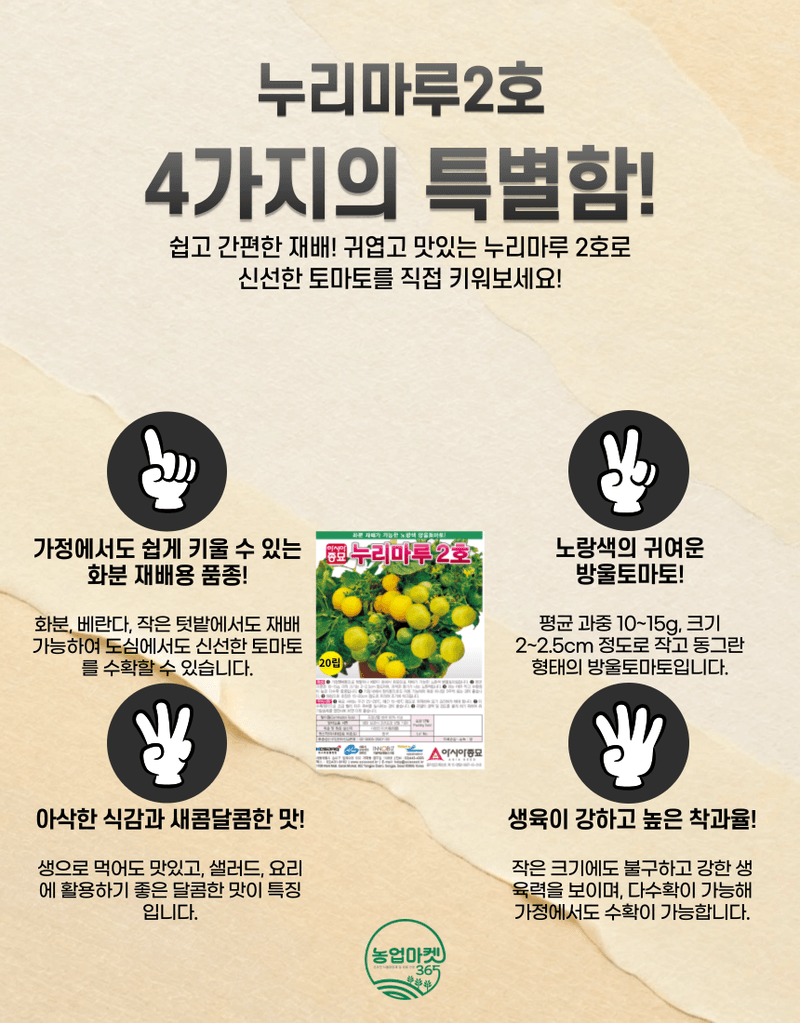 농업마켓365님의 장터 판매 상품 [농업마켓365 아시아종묘 화분재배용 방울토마토 누리마루2호 20립 노랑방울토마토] 첨부 사진