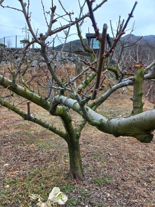 심무재 님의 자유주제 · 자유게시판 작성글 사진