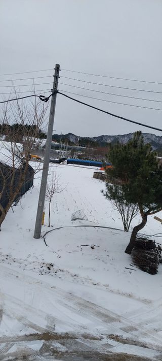 낙엽교목류15665님의 자유주제 · 자유게시판 작성글 사진