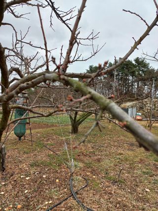 심무재 님의 자유주제 · 자유게시판 작성글 사진